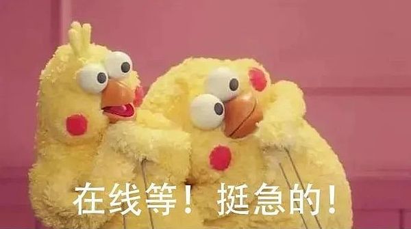 数字货币价格过山车：从市场规律到黑天鹅事件的全面解码